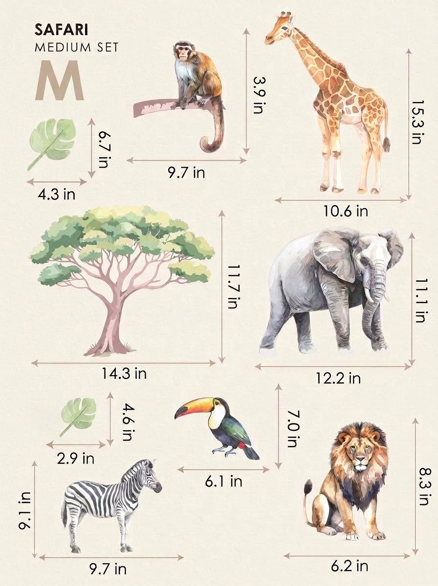 Safari — Medium size chart